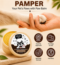 Paw & Nose Balm for Dogs & Cats — Dry, Cracked Skin Repair