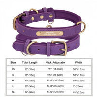 Breakaway Safety Dog Collar - Purple