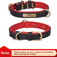 Breakaway Safety Dog Collar - Black