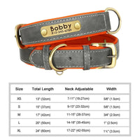 Breakaway Safety Dog Collar - Gray