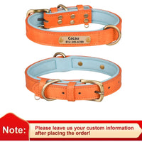 Breakaway Safety Dog Collar - Orange
