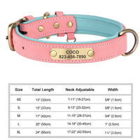 Breakaway Safety Dog Collar - Pink