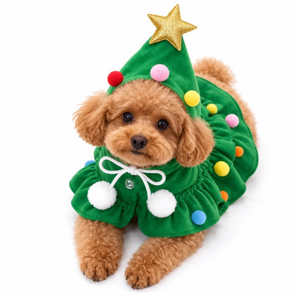 Dog wearing the green Christmas tree costume with gold star hood and pompoms