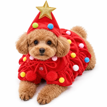 Dog wearing the red Christmas tree costume with gold star hood and pompoms