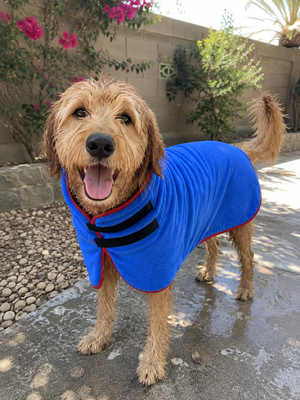 Verified PupMochi customer