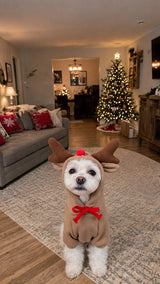 Dog wearing the Reindeer Christmas costume at home by the Christmas tree
