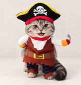 Happy tabby cat wearing the Pirate Captain Halloween costume with skull hat and hook hand